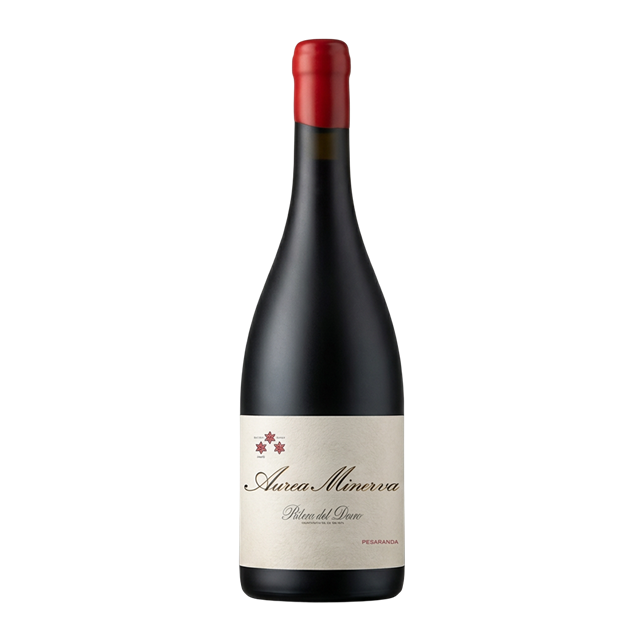 Aurea Minerva 2023 Ribera del Duero DO