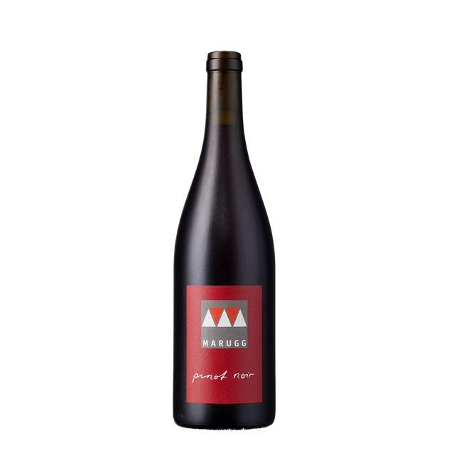 Pinot Noir 2023 Graubünden AOC