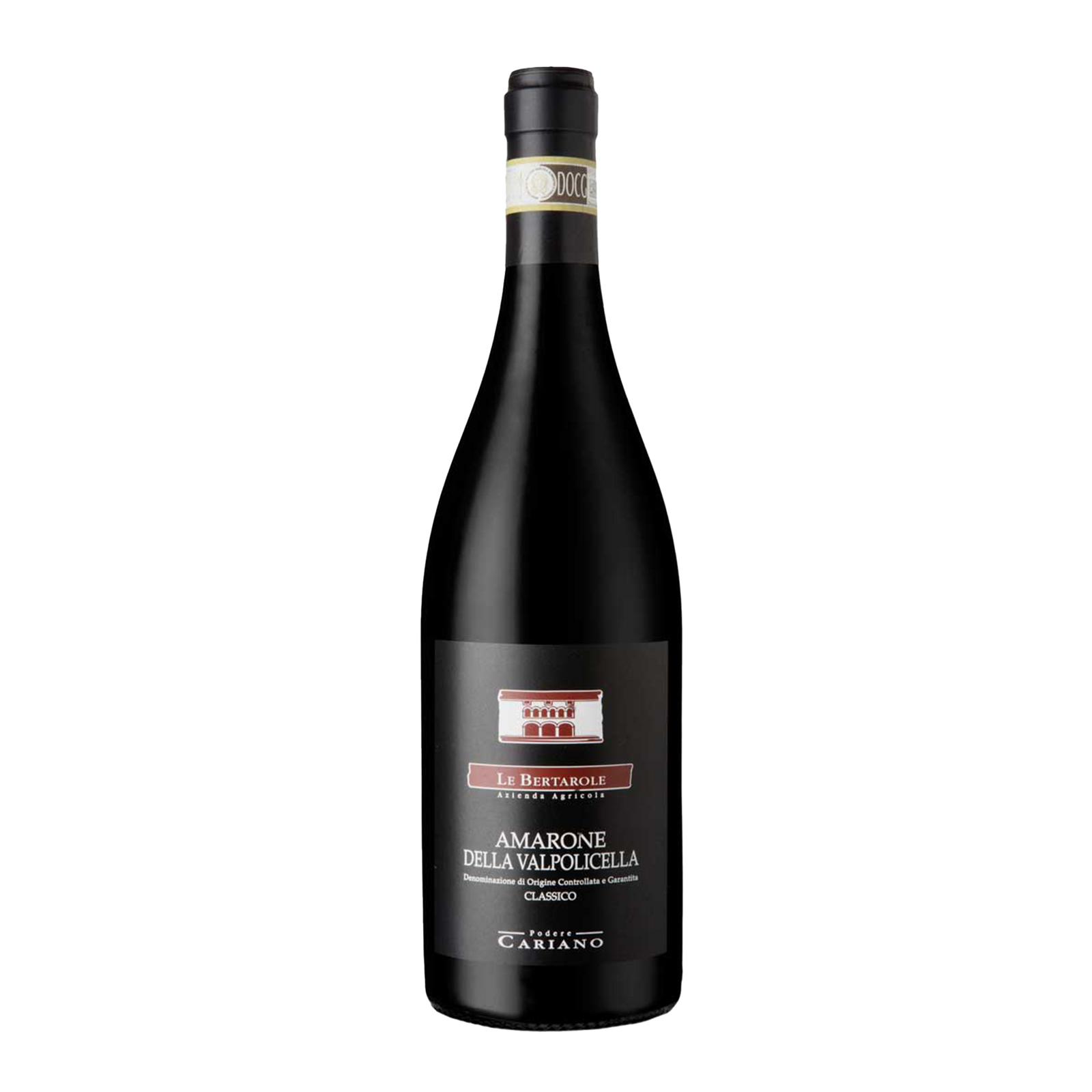 Amarone della Valpolicella 2019 Classico DOCG