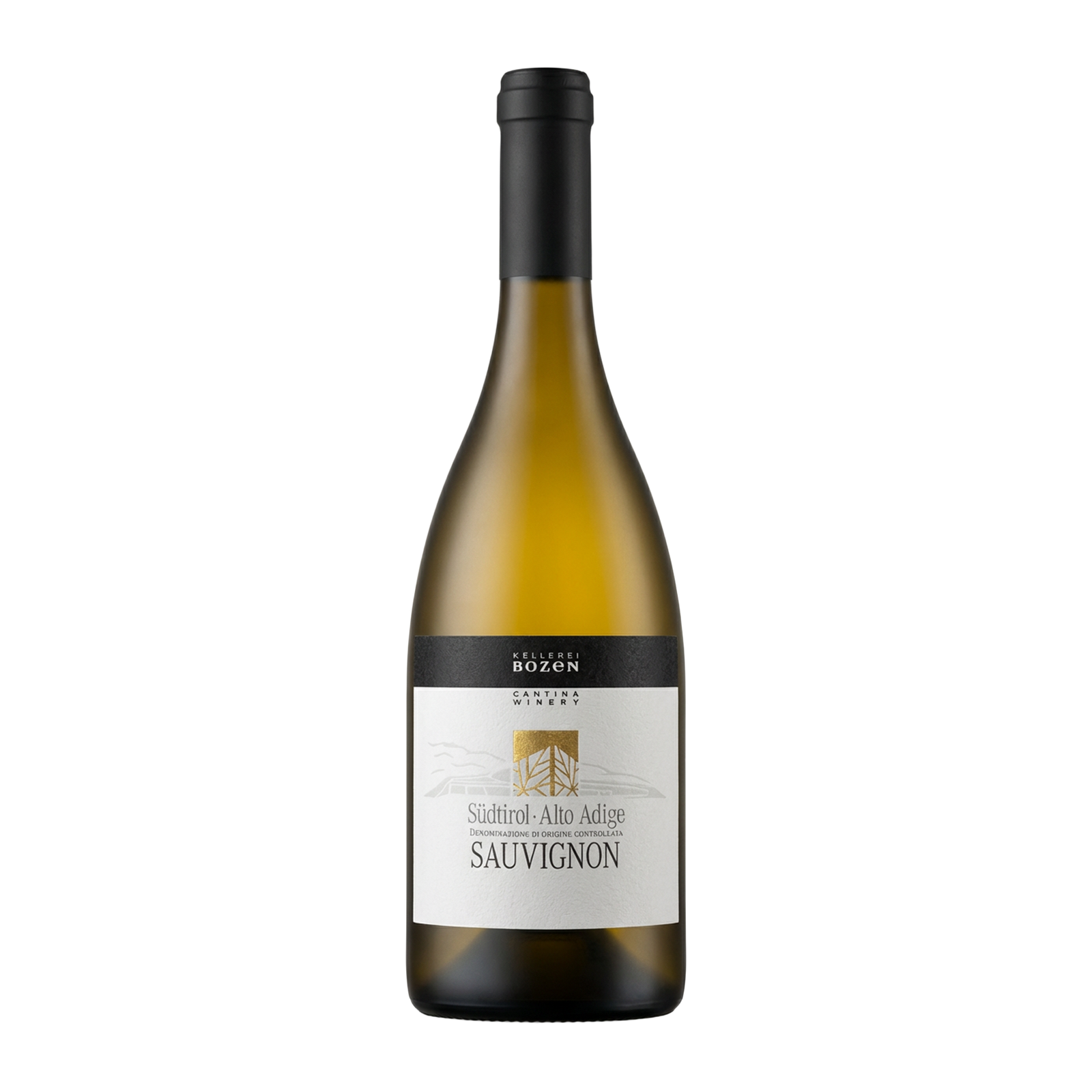 Sauvignon 2024 Alto Adige DOC