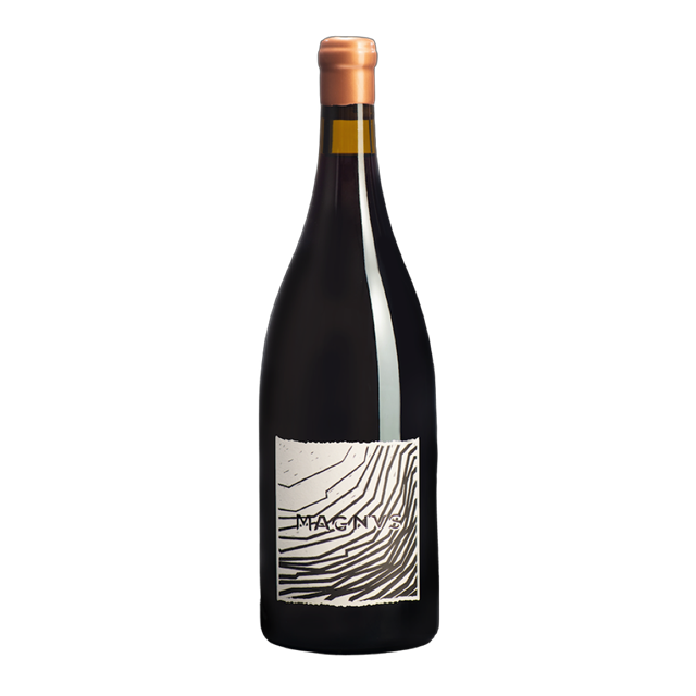 Pinot Noir Magnus 2017 Graubünden