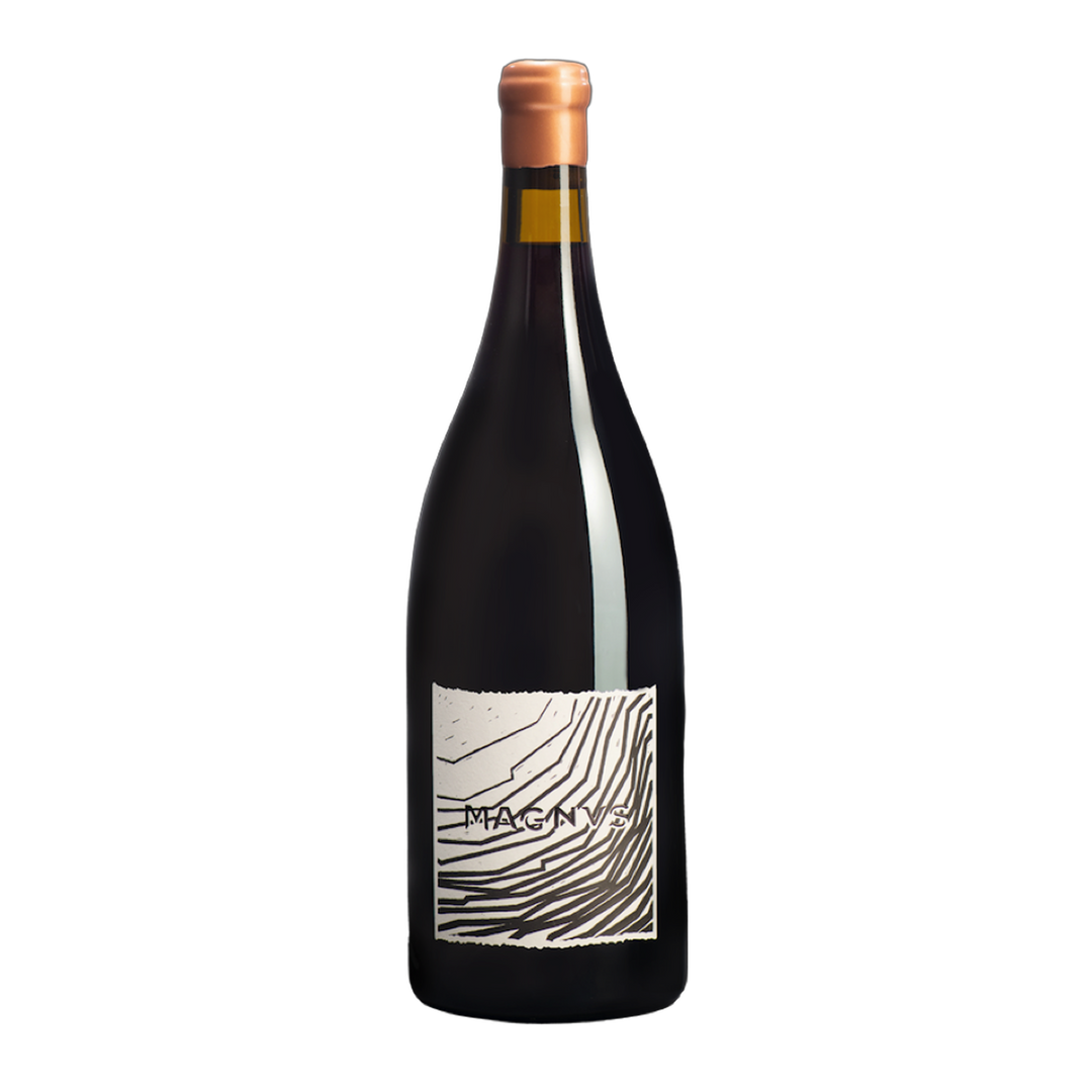Pinot Noir Magnus 2019 Graubünden
