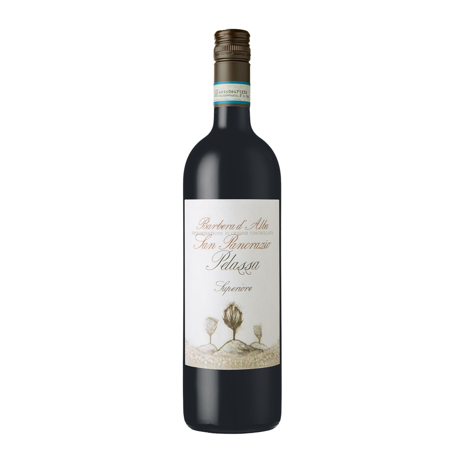Barbera d'Alba San Pancrazio 2021 DOC