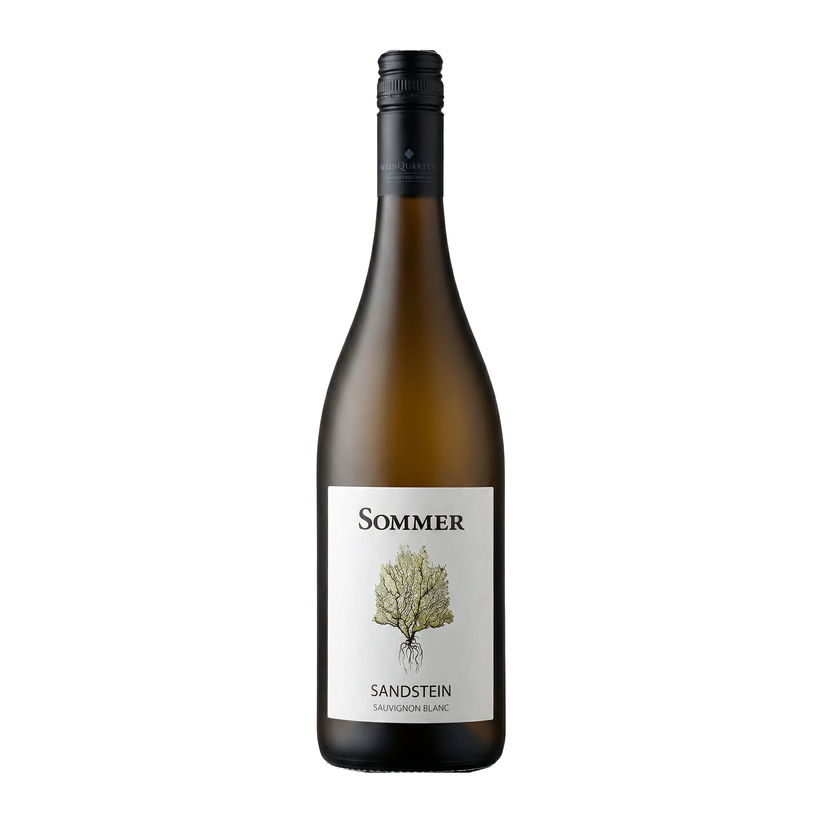 Sauvignon Blanc Sandstein 2025 Leithaberg DAC