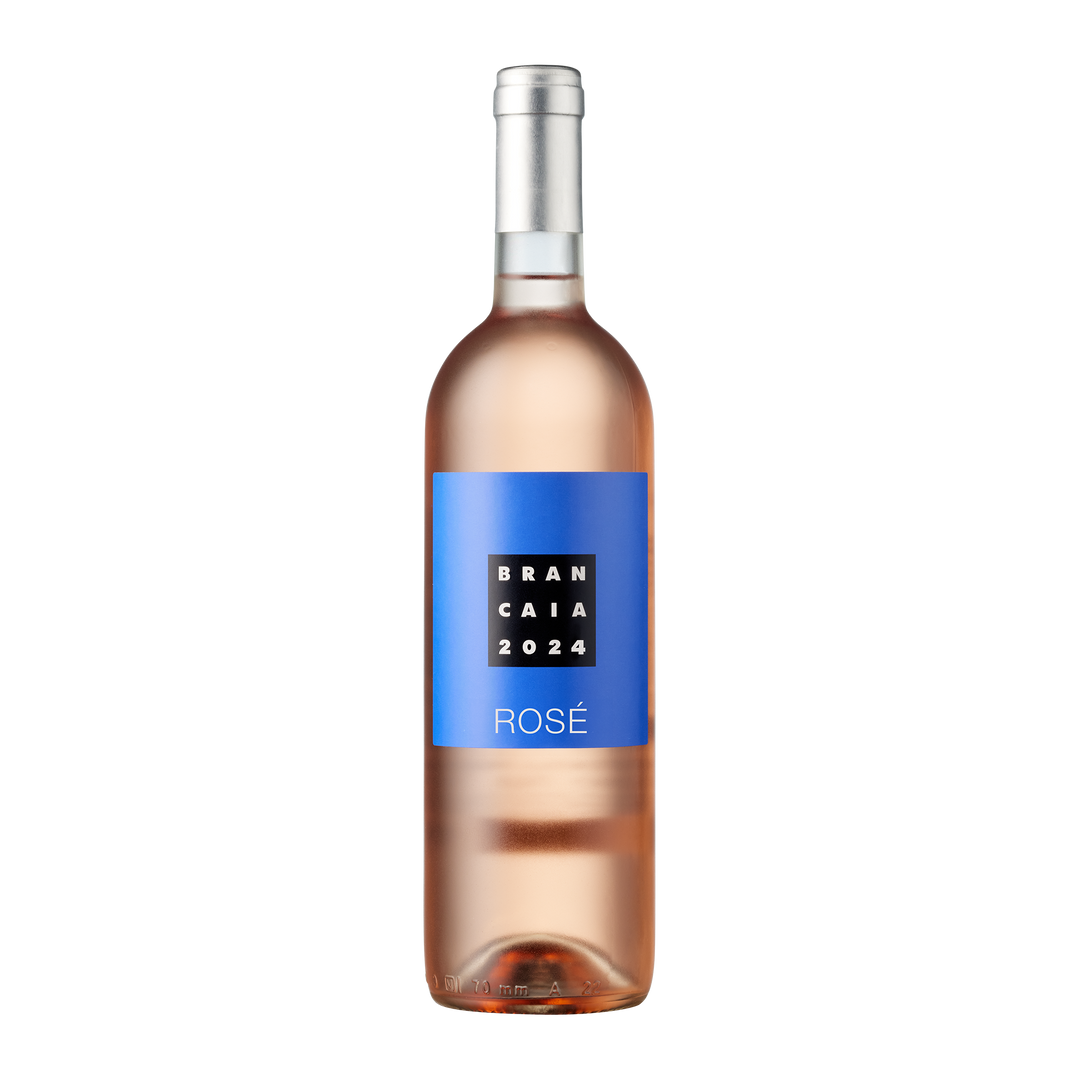 ROSÉ 2024 IGT