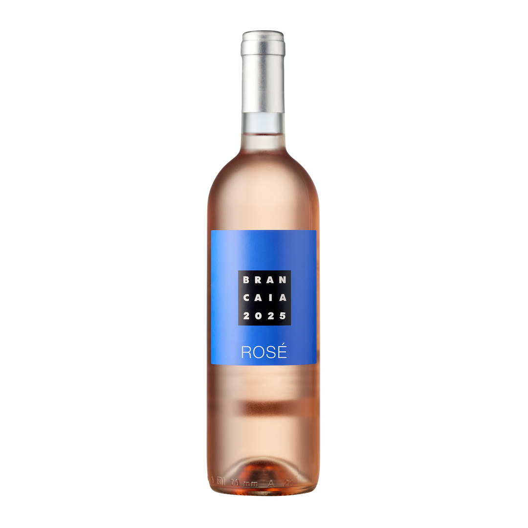 ROSÉ 2025 IGT