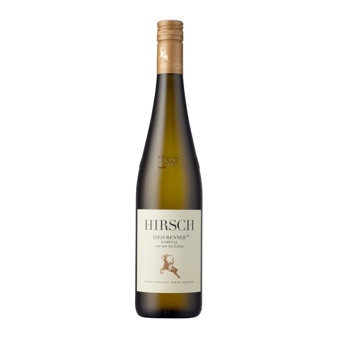 Grüner Veltliner Ried Renner 2022 Kamptal DAC