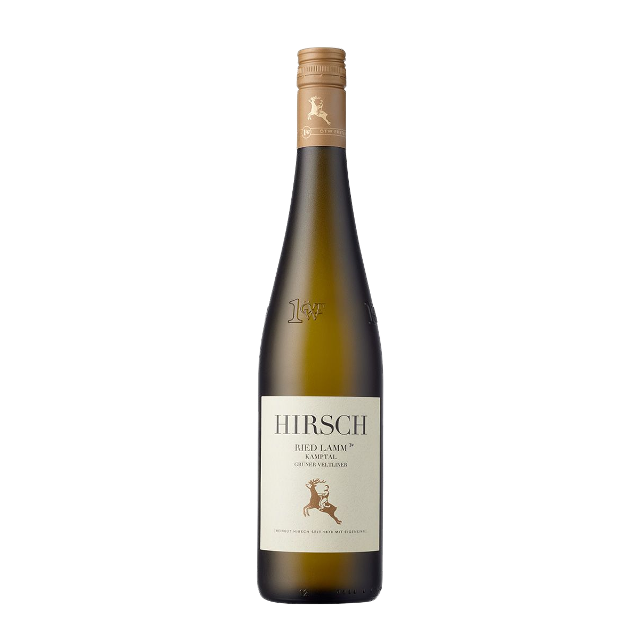 Grüner Veltliner Ried Lamm 2021 Kamptal DAC