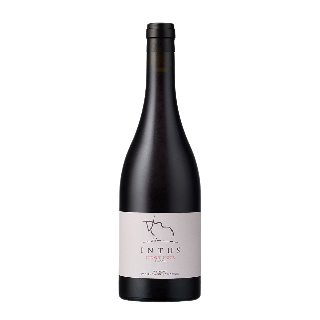 Pinot Noir Intus 2021 Graubünden AOC