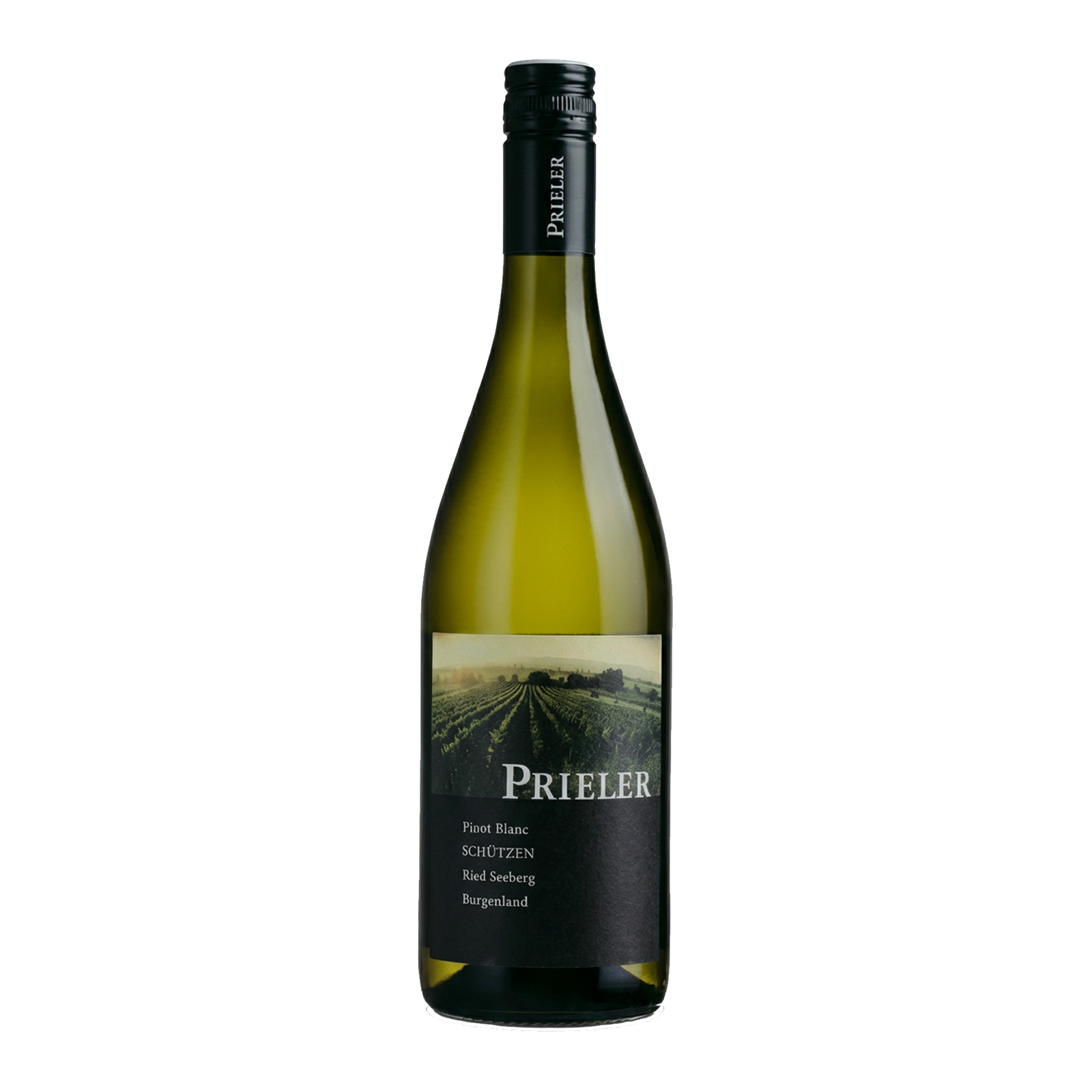 Pinot blanc Schützen Ried Seeberg 2025 Burgenland