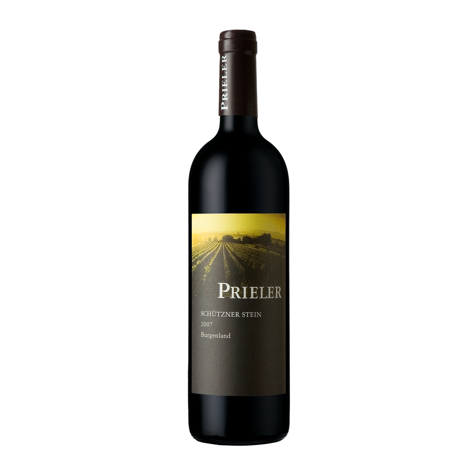 Merlot Schützner Stein 2021 Burgenland