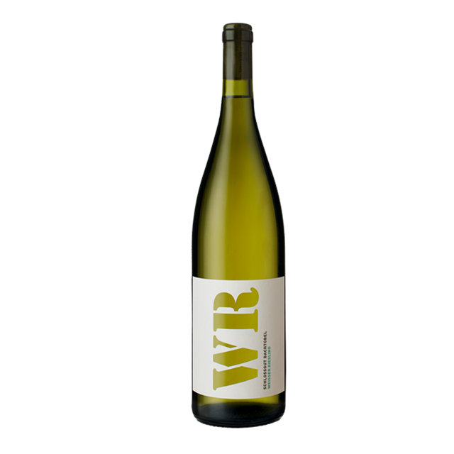 Weisser Riesling 2025 Thurgau AOC