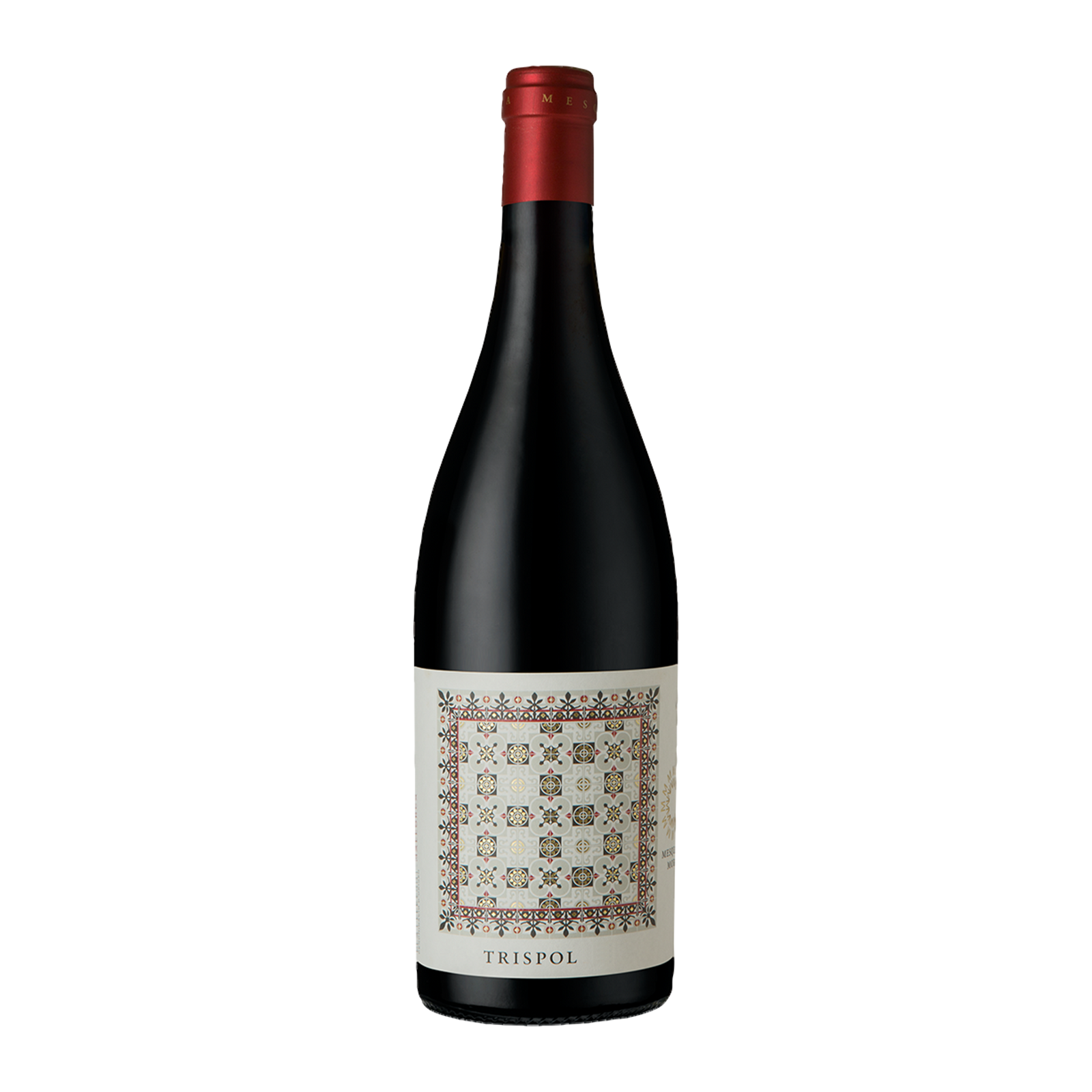 Trispol 2021 Vi de la Terra