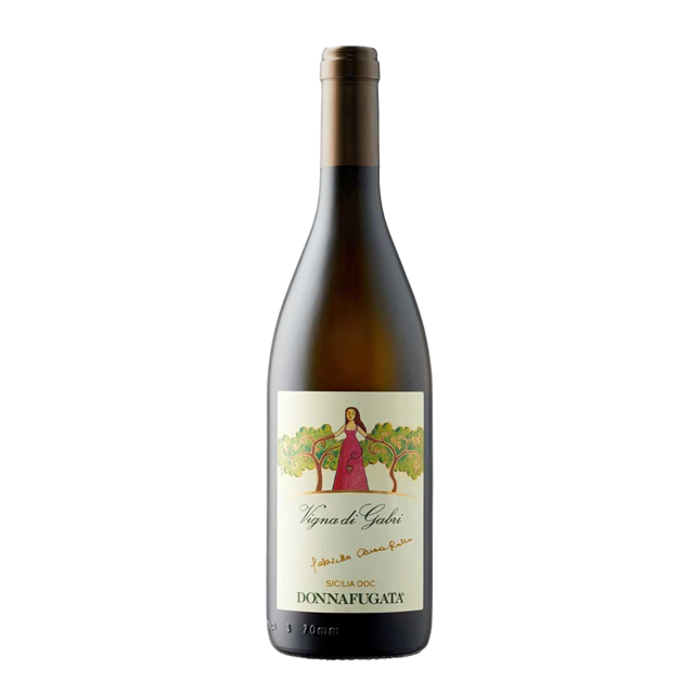 Vigna di Gabri 2023 DOC