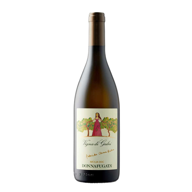 Vigna di Gabri 2024 DOC