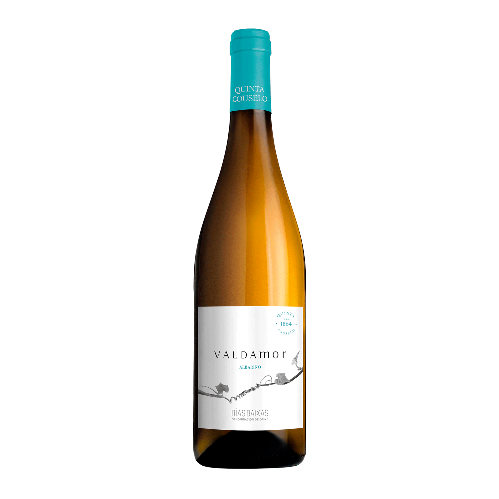 Albariño Valdamor 2023 Rias Baixas DO