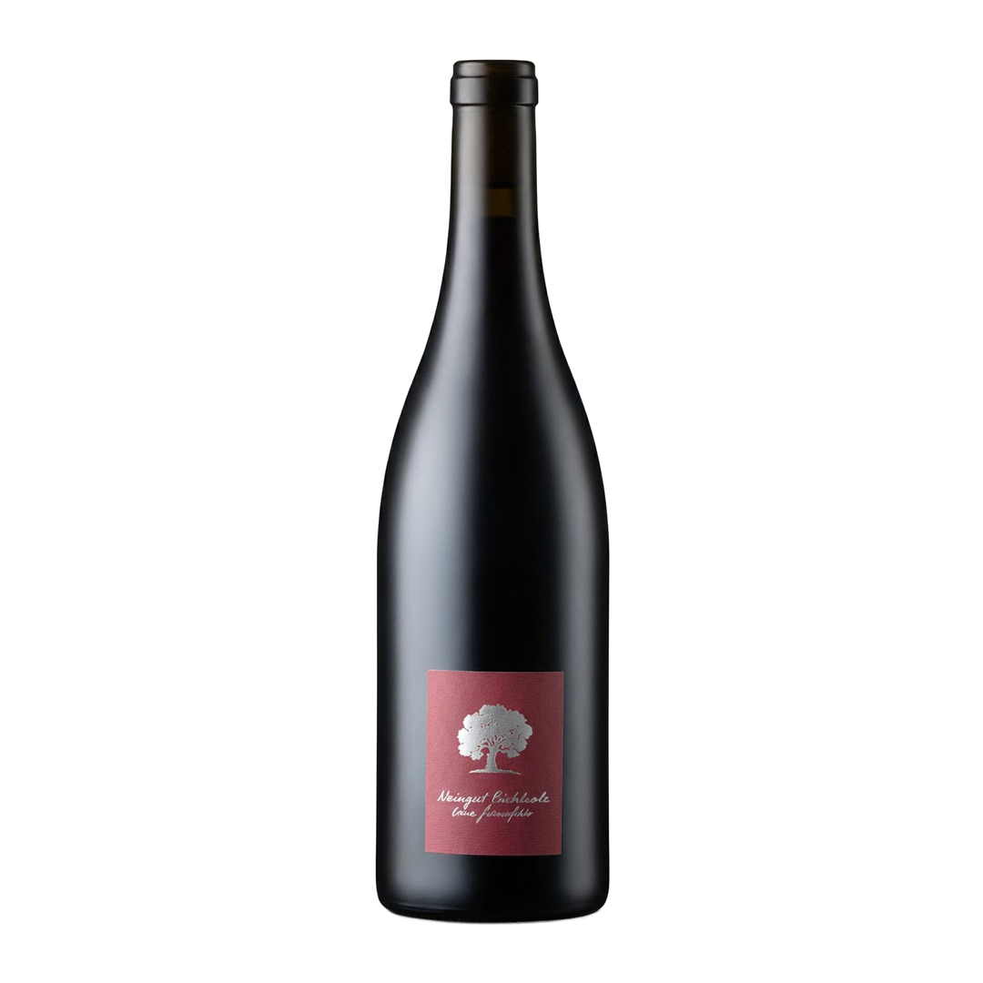 Pinot Noir Bündte 2023 Graubünden AOC