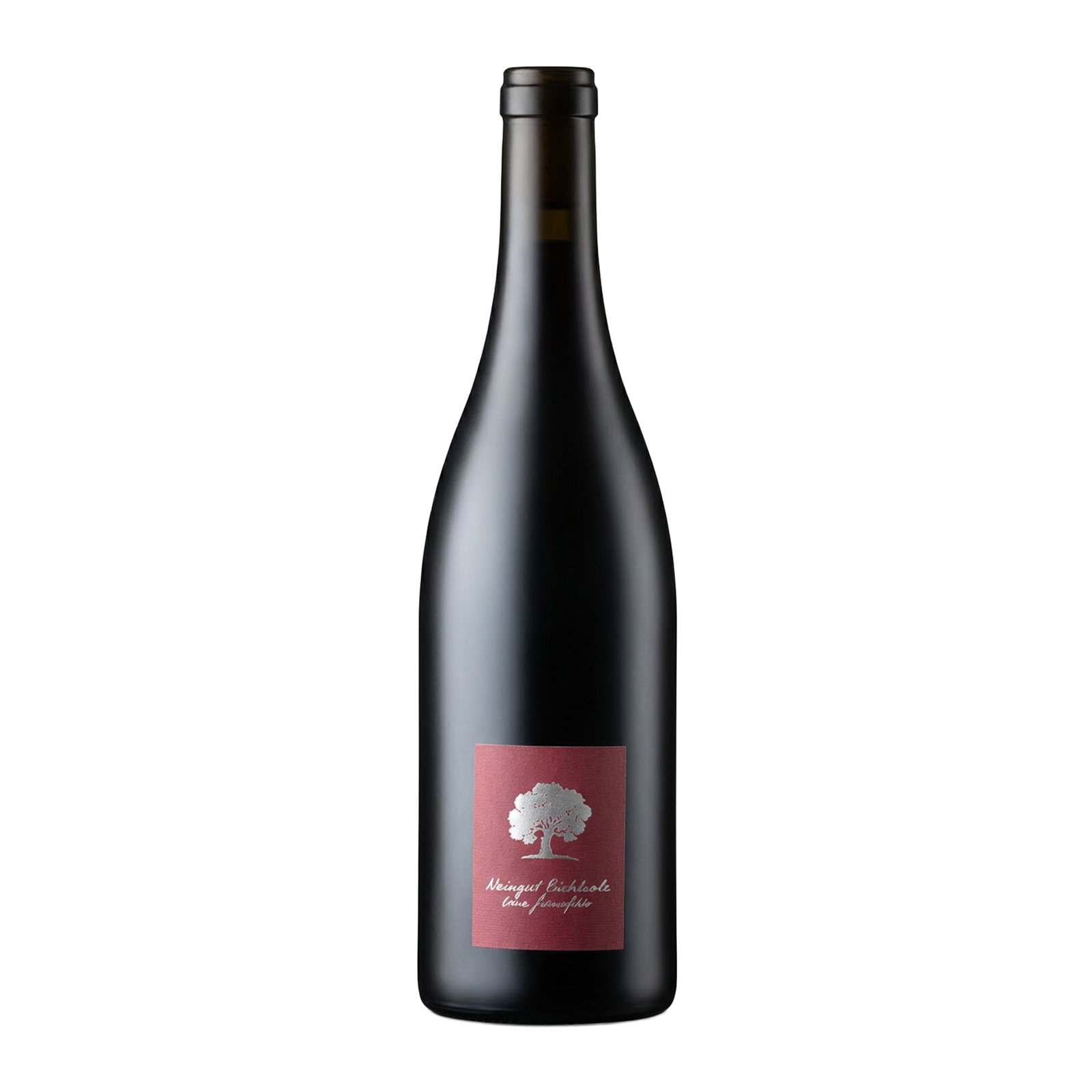 Pinot Noir Bündte 2023 Graubünden AOC