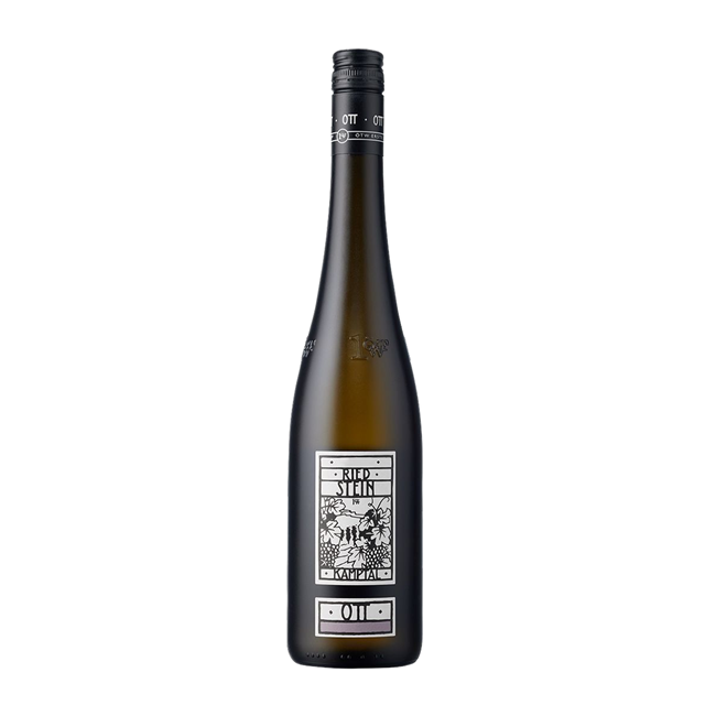 Grüner Veltliner Ried Stein 2022 Kamptal DAC