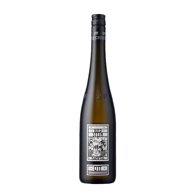 Grüner Veltliner Ried Stein 2021 Kamptal DAC