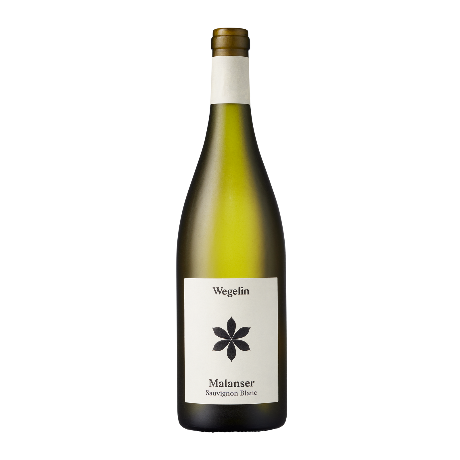 Sauvignon Blanc 2023 Graubünden AOC