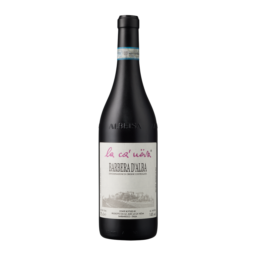 Barbera d&