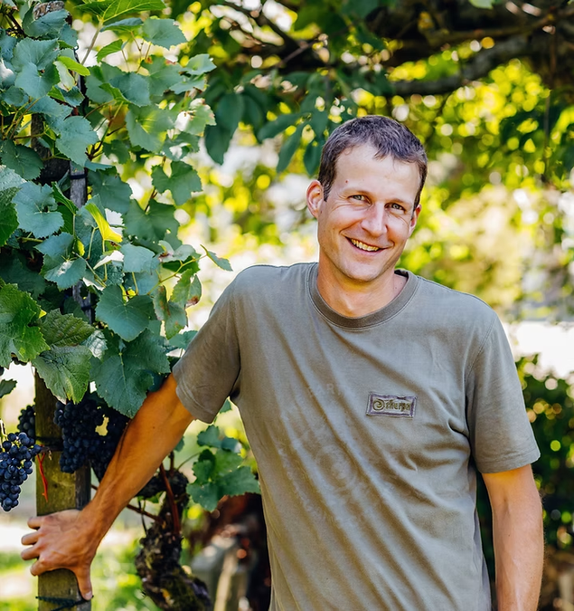 Weingut Adrians Weingut