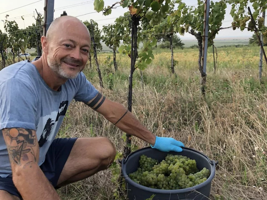 Weingut Muff Mike