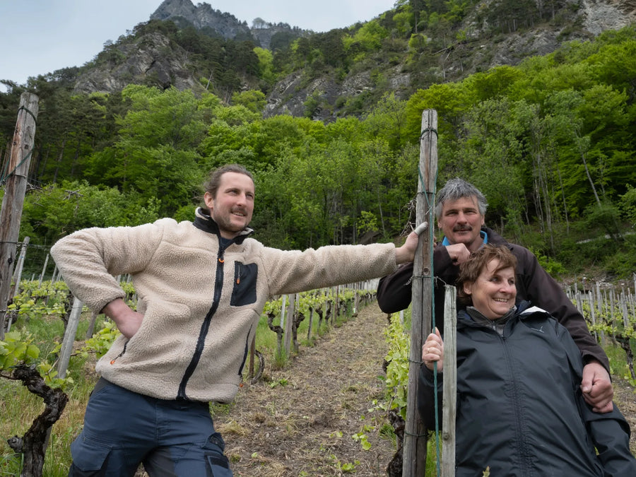 Weingut Weingut Familie Adank