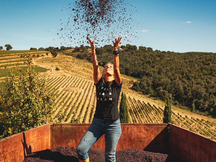 Weingut Brancaia