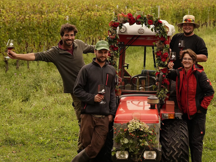 Weingut Weingut Eichholz