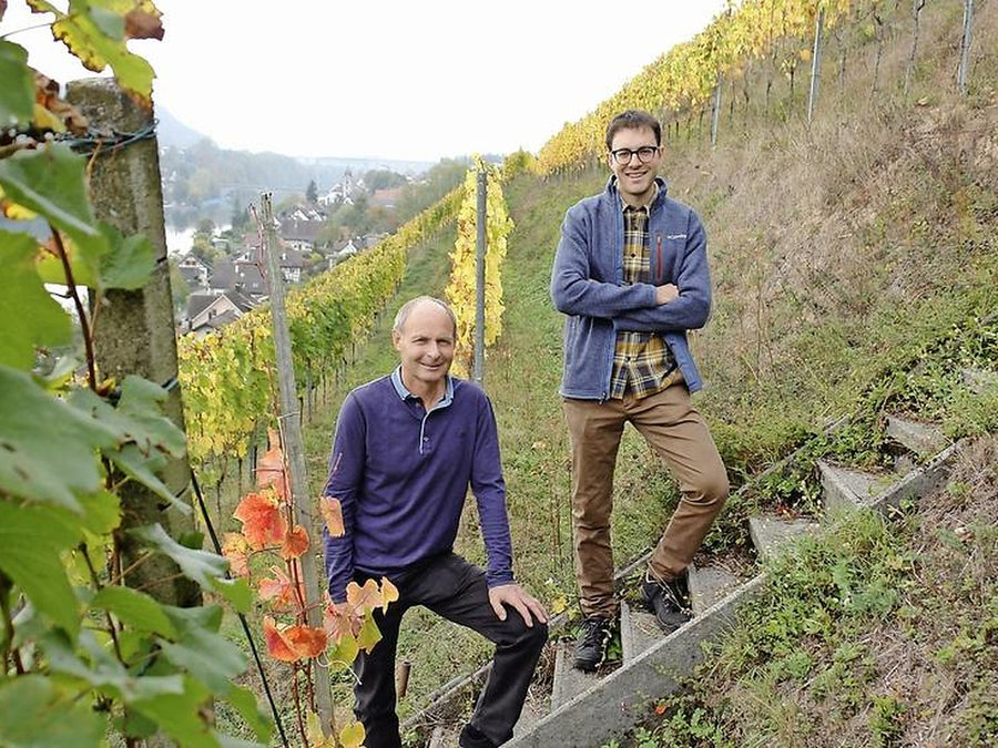 Weingut Weingut Pircher