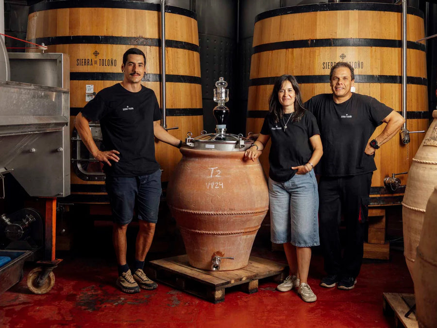 Weingut Sierra de Toloño