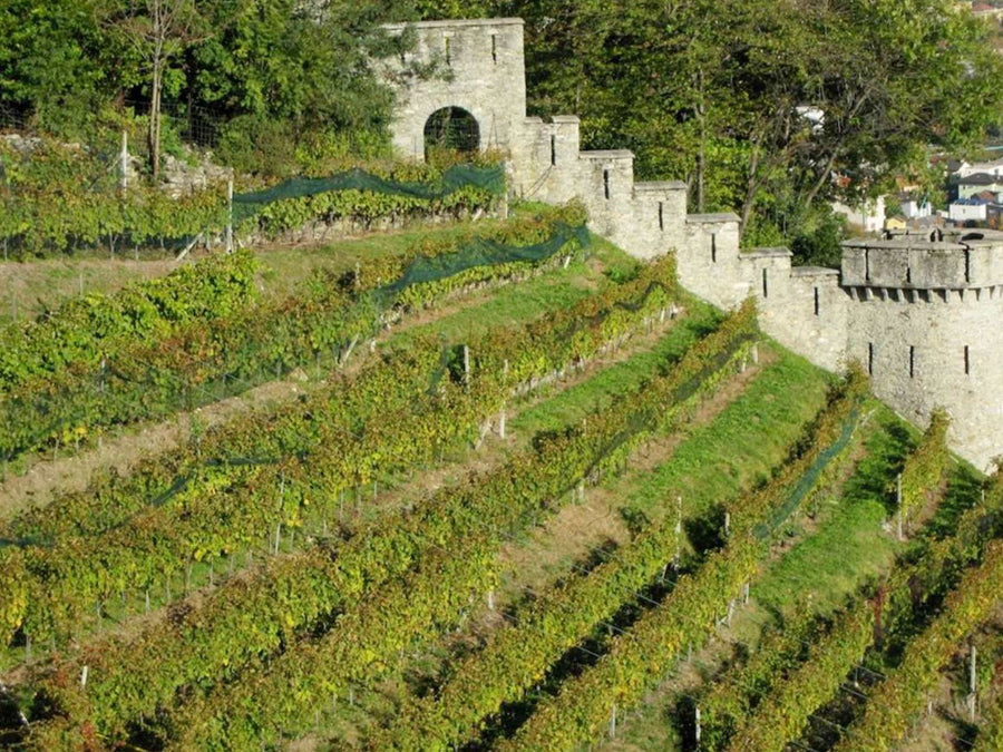 Weingut Zündel