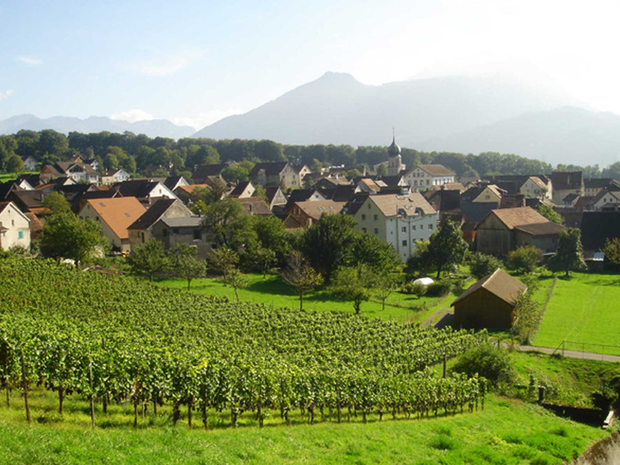 Weingut Jürg Marugg