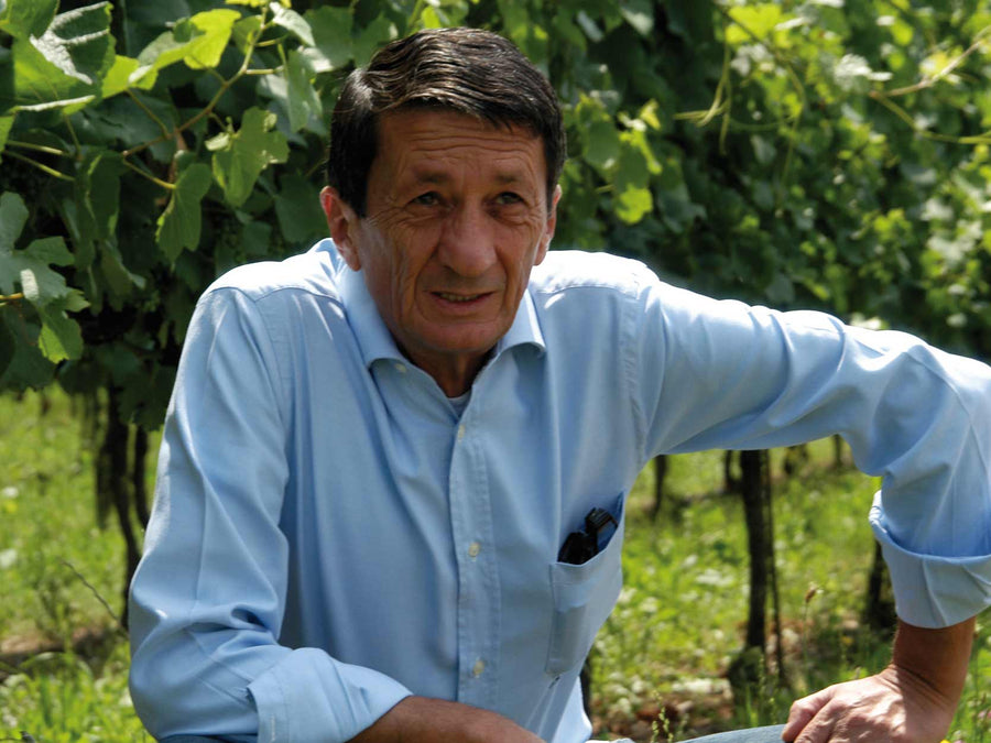 Weingut Ronco Calino