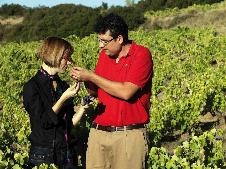 Weingut Domaines Lupier
