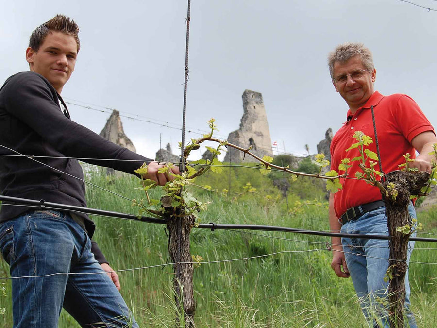 Weingut Weingut Proidl