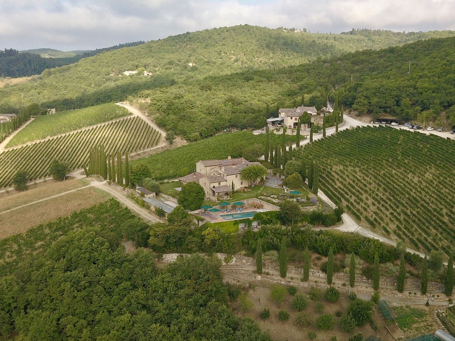 Weingut Brancaia