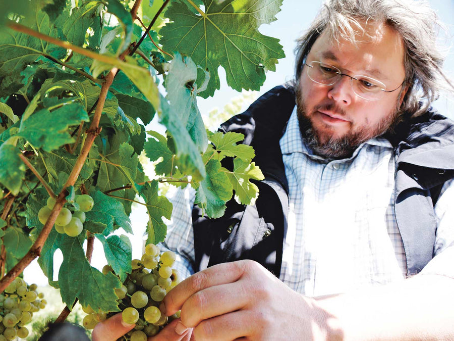 Weingut Weingut Bernhard Ott