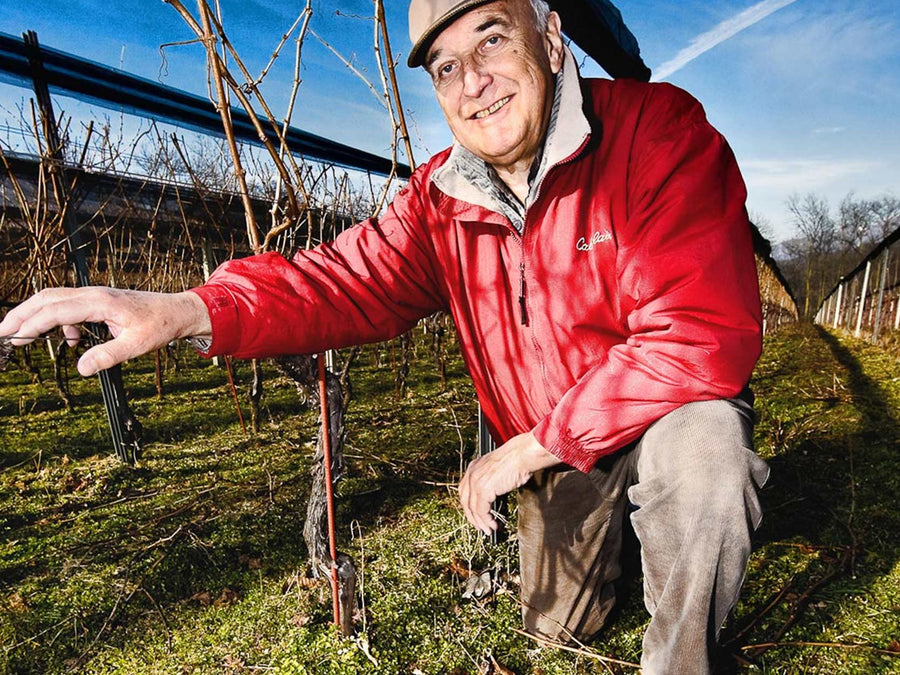 Weingut Tenimento dell' Ör