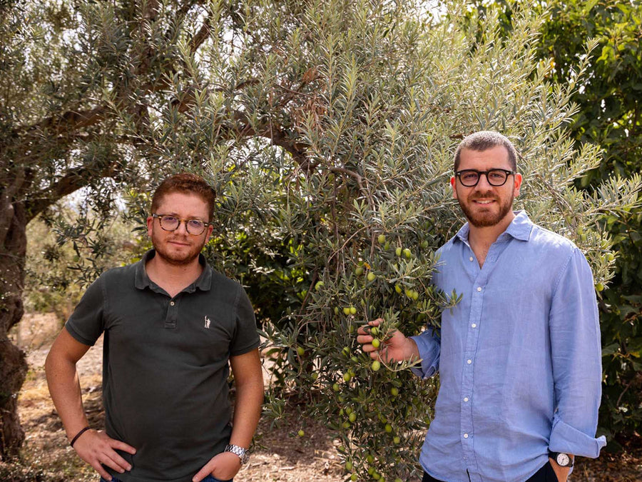 Weingut Oleificio Guccione