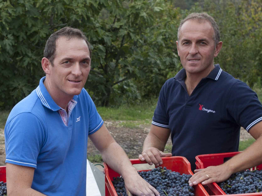 Weingut Daniele Pelassa