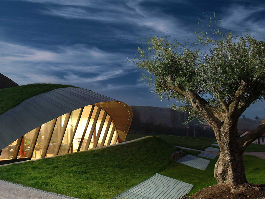 Weingut Cascina Adelaide