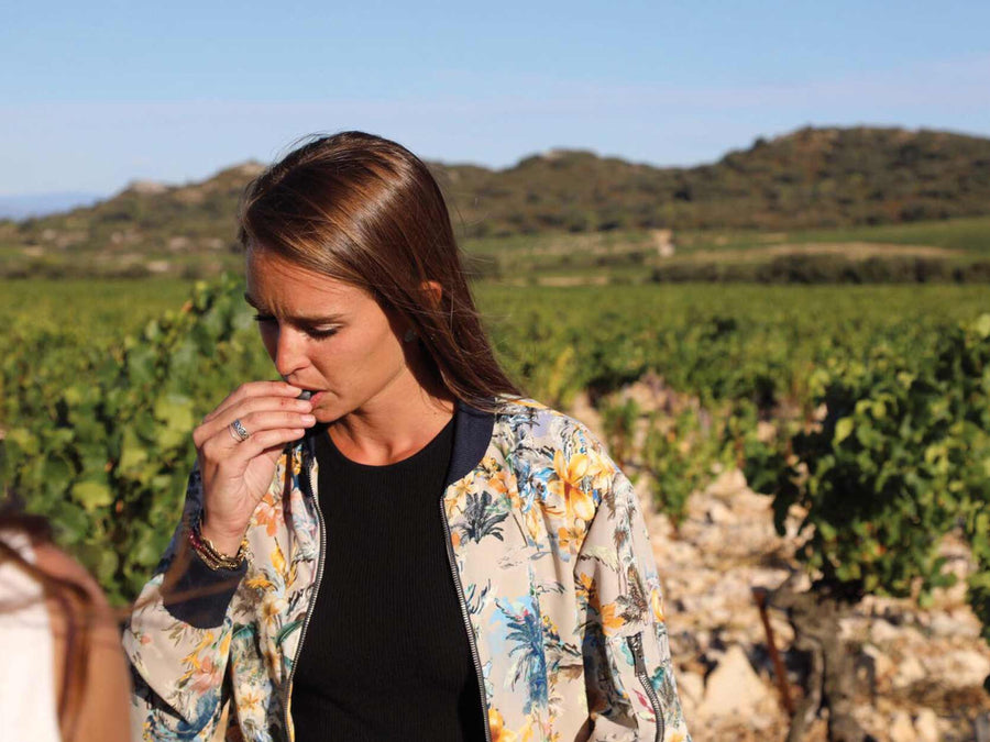 Weingut Domaine de la Mordorée