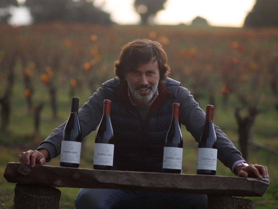 Weingut Jiménez-Landi