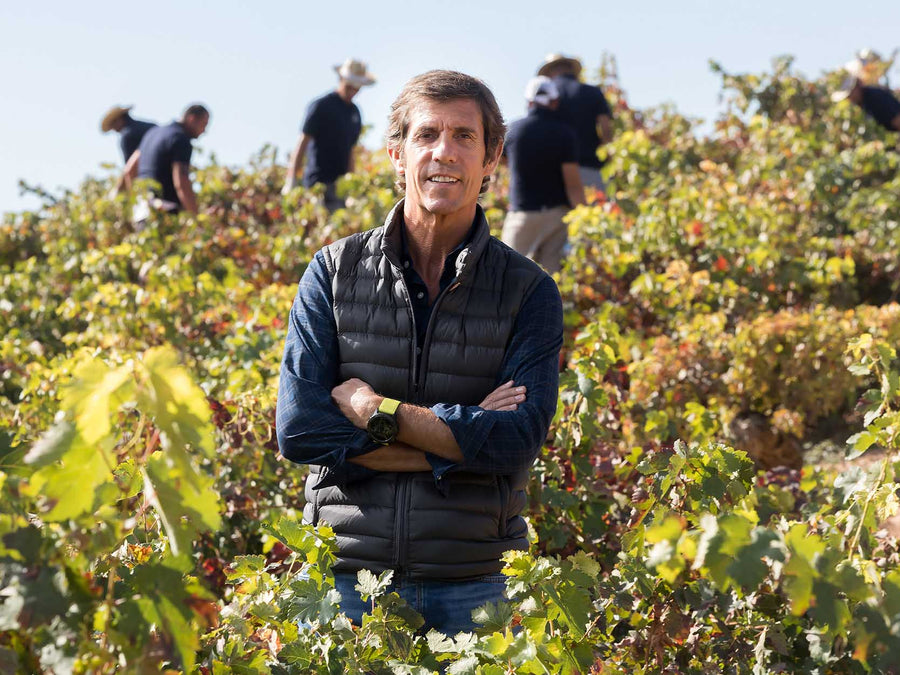 Weingut Emilio Moro
