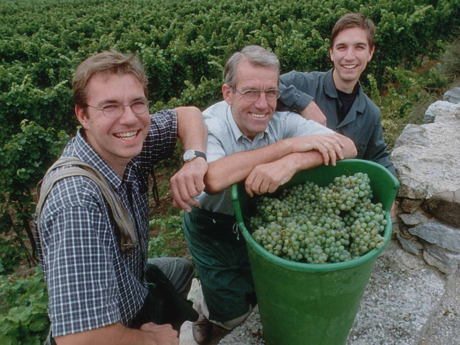 Weingut Weingut Knoll