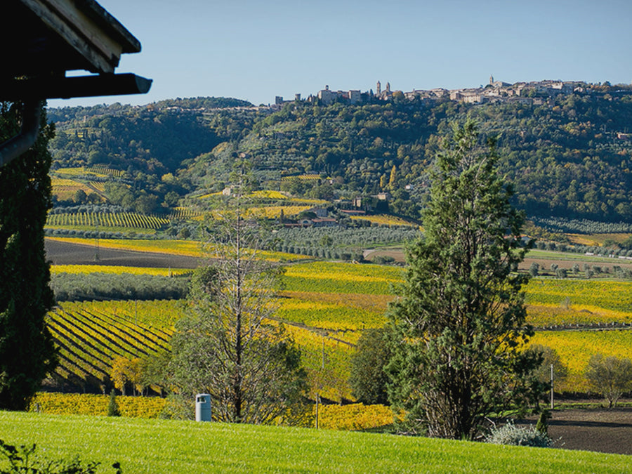 Weingut Siro Pacenti