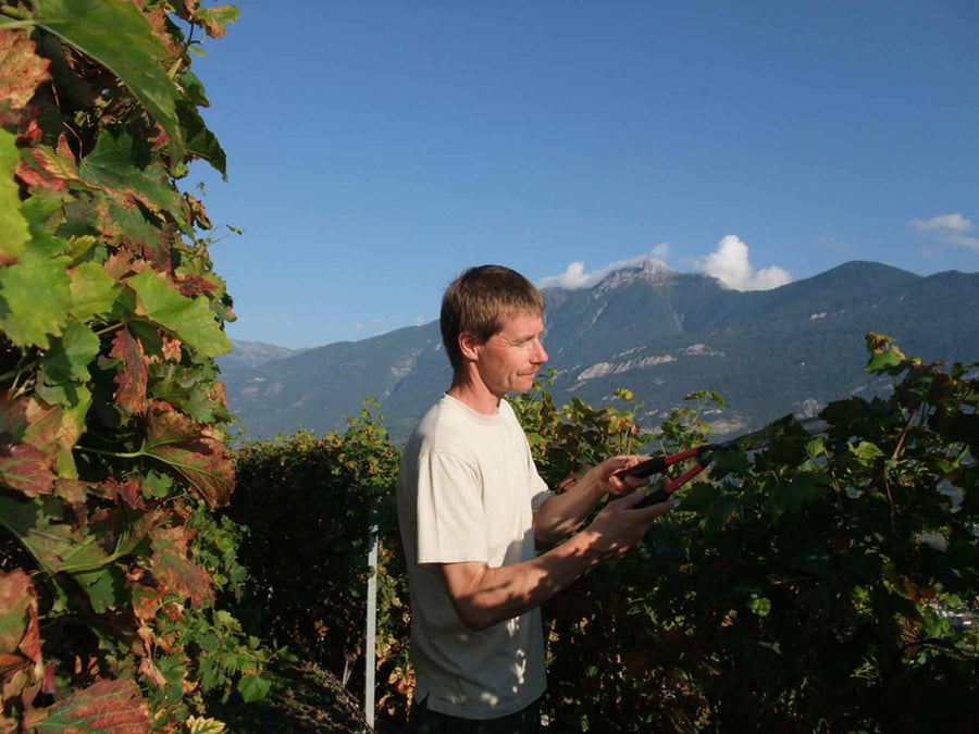 Weingut Benoît Dorsaz